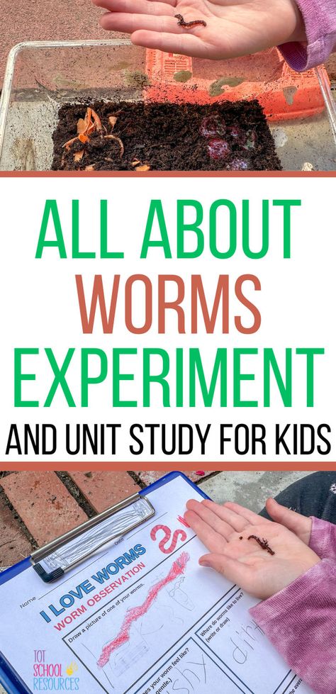 Kids love worms. Turn into a perfect science lesson for preschool or elementary age kids with these printable All About Worms worksheets. Kids can get hands on with their favorite wiggly worm friends and even do a science experiment if you want. Worms Preschool, Worm Science, Worm Crafts, Science Unit Studies, Bugs Preschool, Preschool Science Activities, Worm Composting, Science Lesson, Preschool Theme