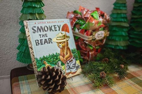 Vintage National Park/Camping Themed 3rd Birthday "Holden National Park" | CatchMyParty.com Camping Birthday Party Ideas, Vintage National Park, Camping Theme Birthday, Birthday Party At Park, Forest Birthday Party, Smokey The Bear, Forest Birthday, Camping Theme Party, Park Birthday