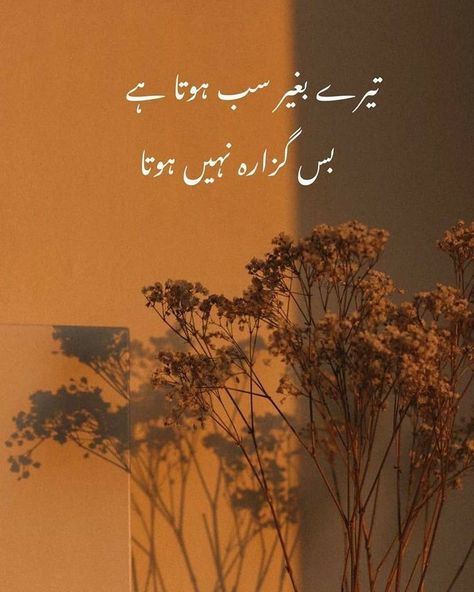 Missing Poetry, Haidar Ali, Poetry Wallpaper, Romantic Poetry Quotes, Love Quotes In Urdu, Urdu Funny Poetry, Poetry Pic, Soul Love Quotes, Love Romantic Poetry