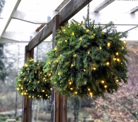 Mirelle Stoor på Instagram: "DIY granboll vänner 🌲😍 Men alltså är det inte det finaste vi sett? Jag fullkomligt älskar det! Ett superroligt pyssel som ser lyser upp…" Julkransar Diy, Homemade Christmas Decorations, Xmas Deco, Easy Christmas Decorations, Christmas Decorations Diy Outdoor, Nordic Christmas, Instagram Diy, Indoor Christmas Decorations, Christmas Porch