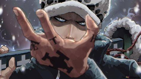 Trafalgar Law Wallpapers, Wallpapers Pc, Trafalgar Law