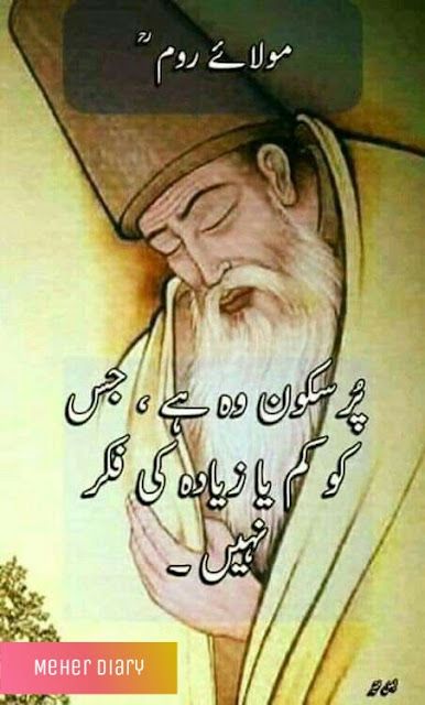 Molana Roomi Quotes In Urdu, Sofi Poetry, Human Quotes, Adab Quotes, Rumi Books, Maulana Rumi, Motivational Quotes In Urdu, Evening Pictures, Rumi Poetry