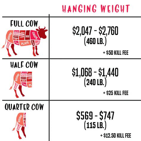 Beef Cuts Chart, Homestead Skills, Cow Meat, Butcher Meat, Butcher's Cut, Cuts Of Beef, Raising Farm Animals, Homemade Foods, Nourishing Traditions