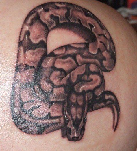 16 Best Python Tattoo Design Ideas Python Tattoo Design, Ball Python Tattoo, Python Tattoo, Cute Animal Tattoos, Royal Ball, Snake Tattoo Design, Python Snake, Tattoo Design Ideas, Ball Python