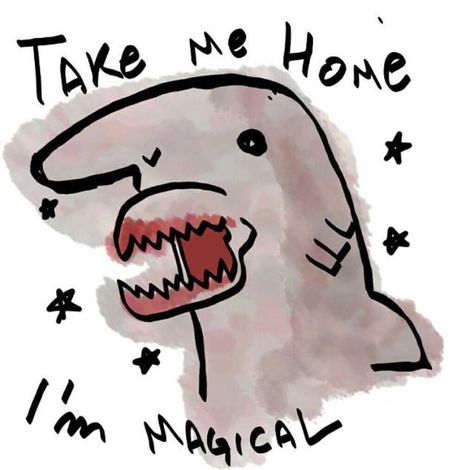 Goblin Shark Drawing, Goblin Shark Photography, Silly Shark Drawing, Shark Brain, Silly Sharks, Goblin Shark, Pet Shark, Shark Meme, Shark Drawing