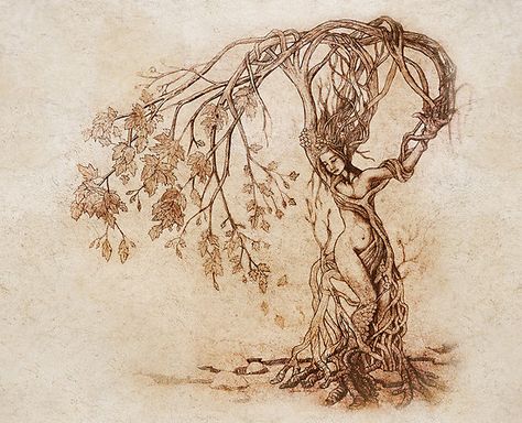 The Hedge Witch - A solitary herbalist and healer, who lived at the (h)edge of town. Spiritual, usually accompanied by birds. Describes my great-great-great-grandmother exactly. Willow Tree Tattoos, Nature Goddess, Tree Woman, Tree Of Life Tattoo, Hedge Witch, Concept Ideas, Tattoo Life, Tree Illustration, Tree Drawing