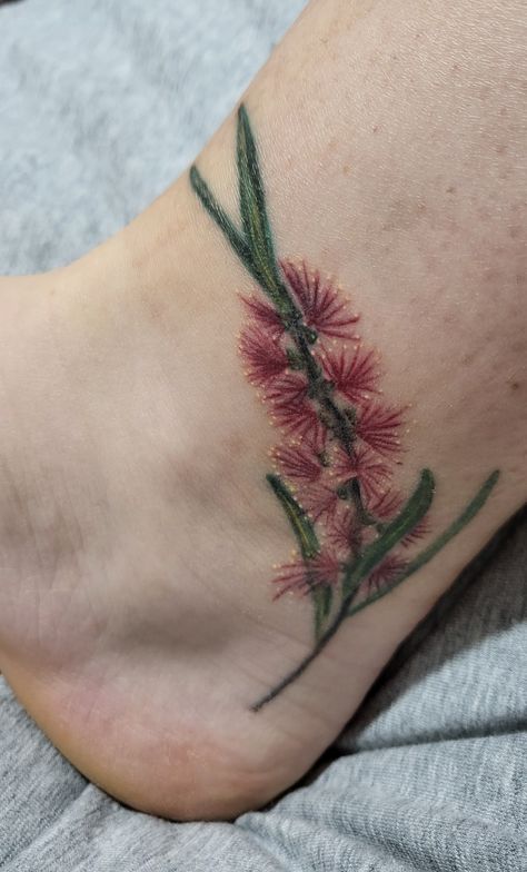 Bottle Brush Tattoo, Bottlebrush Illustration, Indian Paintbrush Flowers Tattoo, Indian Paintbrush Illustration, Red Paintbrush Flower, Brush Tattoo, Indian Paintbrush, Bottle Brush, Ankle Tattoo