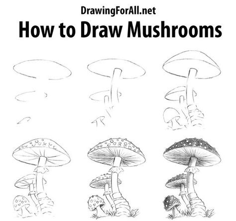 How To Draw Mushrooms, Mushroom Sketch, Draw Mushrooms, Drawing Landscapes, Draw A Mushroom, Beautiful Pencil Drawings, Draw Realistic, Mushroom Drawing, Flower Drawing Tutorials