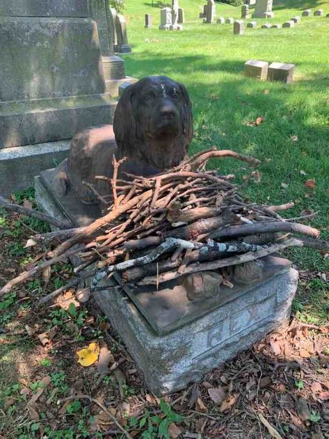 Rex’s grave has attracted the attention of people on social media. Many posts on Twitter and Facebook talk about the dog’s famous burial site. Greenwood Cemetery Brooklyn, Brown Siberian Husky, Dog Grave, York Dog, Greenwood Cemetery, Instead Of Flowers, Most Beautiful Dogs, Man Crafts, Found Art