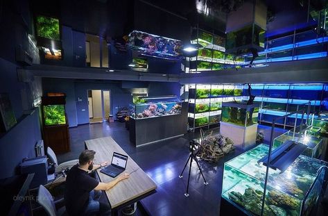 Aquarium Store Design, Aquarium Room Ideas, Fish Store Design, Reptile Exhibit, Pixel Interior, Aquarium Room, Pet Store Ideas, Aquarium Store, Aquarium Shop