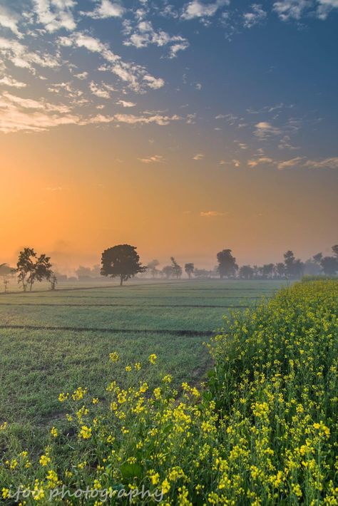 Pakistan Pakistan Countryside, Pakistan Scenery, Pakistan Country, Multan Pakistan, Explore Pakistan, Farm Field, Fields Of Gold, Field Of Dreams, Pakistan