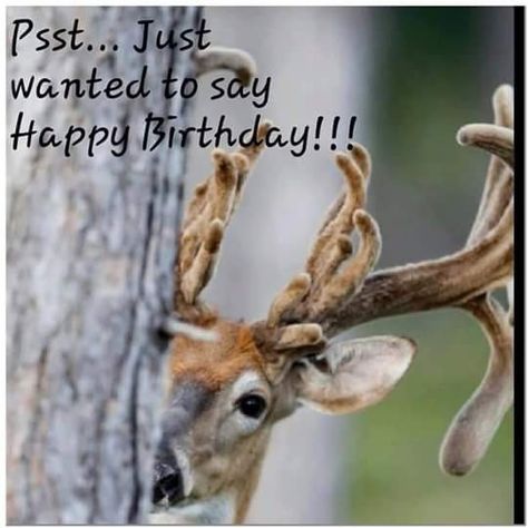 Happy Birthday Hunting, Hunting Meme, Happy Birthday Quotes For Him, Happy Birthday Wishes For Him, Happy Birthday Wishes Sister, Happy Birthday Wishes For A Friend, Happy Birthday For Him, Hunting Birthday, Happy Birthday Man