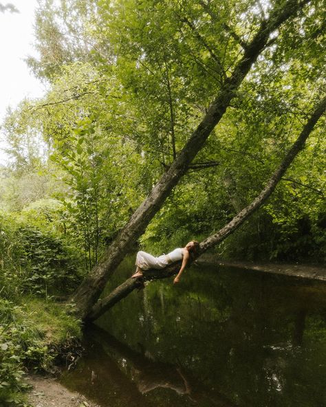 Part two of Melina’s senior photos 🧚🏼🦢🌳🤍 Senior Photos In The Rain, Creek Senior Photos, Senior Water Pictures, Granola Senior Pictures, Nature Senior Photos, Woodsy Senior Pictures, Goth Senior Pictures, Creek Senior Pictures, Fun Selfies