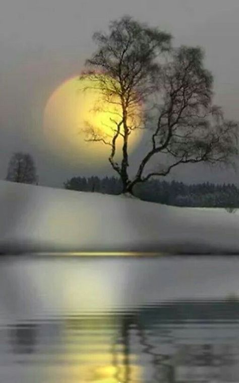 Cer Nocturn, Wallpaper Tumblr, Moon Pictures, Moon Photography, 수채화 그림, Denzel Washington, Winter Scenery, Beautiful Moon, Alam Yang Indah