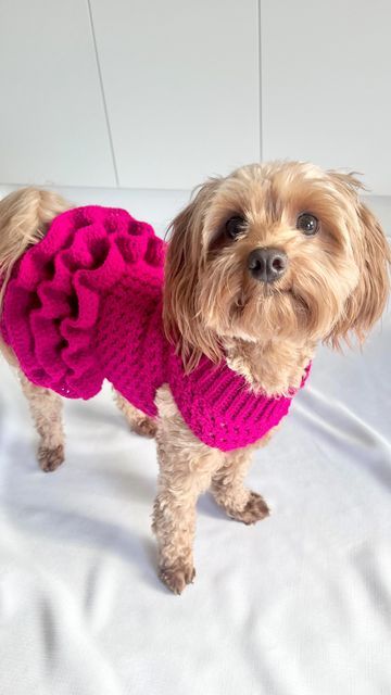 Tutu Pattern, Crochet Coats, Crochet Dog Clothes, Crochet Tutu, Crochet Pet, Dog Sweater Crochet Pattern, Dog Sweater Pattern, Crochet Dog Sweater, Puppy Dress