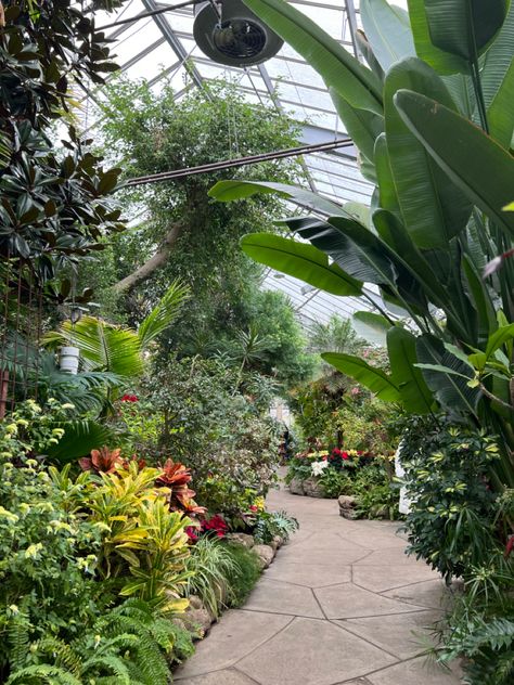 Tropical Fruit Greenhouse, Greenhouse Walkway, Fruit Greenhouse, Green Courtyard, Gotham Memoirs, Glass Houses, Hot House, Greenhouse Plants, Centennial Park