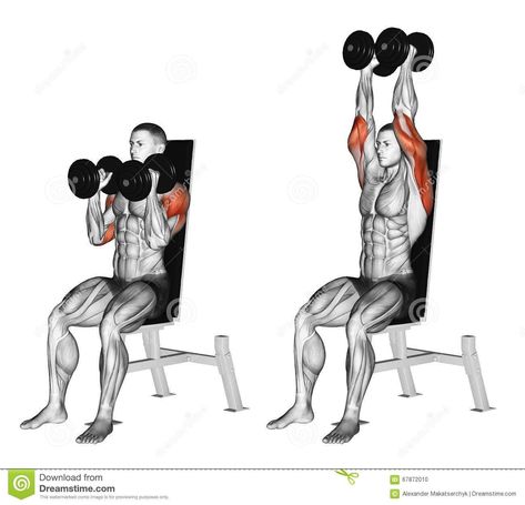 Seated Shoulder Press, Dumbbell Shoulder Press, Best Shoulder Workout, Shoulder Training, Shoulder Exercises, Gym Antrenmanları, Dumbell Workout, Trening Fitness, Shoulder Press