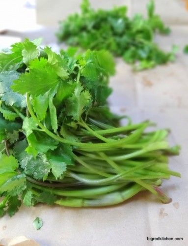 It really does work: Cilantro. Storing Cilantro, Benefits Of Cilantro, Store Cilantro, Herb Storage, Salad Chicken, Storing Fruit, Fingers Crossed, Garden Recipes, How To Store