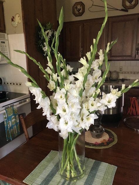 Gladioli Flower Arrangements, Pianese Flower, Gladiolus Flower Aesthetic, Gladioli Bouquet, Gladiolus Centerpiece, Gladioli Flower, Gladiolus Flower Tattoo, Gladiolus Bouquet, Gladiolus Arrangements