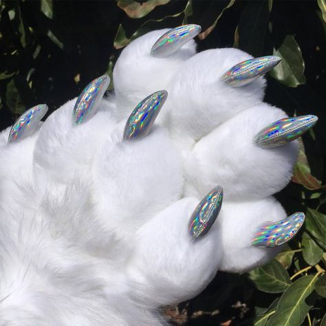 Twitter Fursuit Paws, Hot Dogs, Fish Pet, Twitter