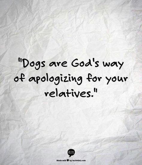 "Dogs are God's way of apologizing for your relatives." Game Mode, Memes Humor, Animal Quotes, Dog Quotes, I Love Dogs, The Words, Great Quotes, Dog Love, Wise Words