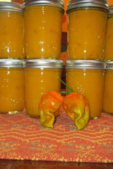 Mustard Hot Sauce, Habanero Pineapple Salsa, Hot Pepper Mustard Canning, Habanero Mustard Recipe, Hot Pepper Mustard Recipe, Pepper Mustard Recipe, Habanero Hot Sauce Recipe, Mustard Recipes, Habanero Recipes