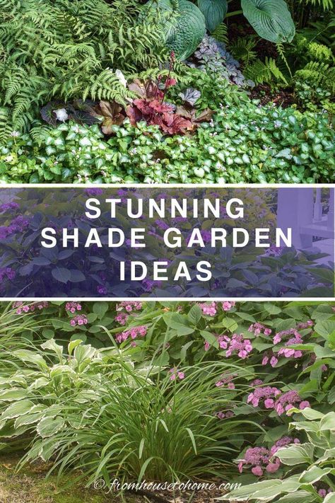 Whether you are gardening in a small space, a large backyard or even a side yard, creating a beautiful shade garden design is possible. Find some shade garden ideas and inspiration that will help you build the shade garden design of your dreams. | Gardening Shade Garden Ideas, Blue Flowering Plants, Part Shade Plants, Garden Front Of House, Shade Landscaping, Shade Garden Design, Shade Grass, Shade Loving Perennials, House To Home