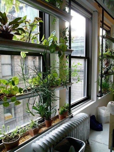 Apartment Herb Gardens, Balcony Herb Gardens, Gutter Garden, Cheap Landscaping Ideas, Window Garden, Urban Apartment, Balkon Design, Indoor Window, Balcony Plants