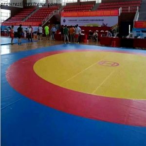 Wrestling Aesthetic, Dojo Design, Wrestling Mat, Mat Best, Medium Hair Styles, Basketball Court, Wrestling, Design