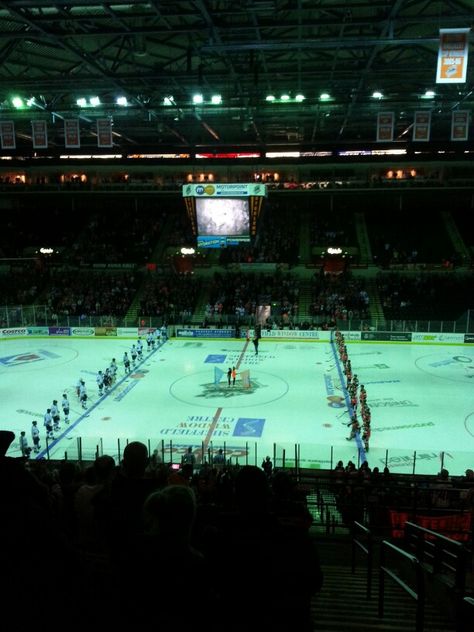 Belfast Giants Hockey, Sheffield Steelers, Belfast Giants, Hockey Aesthetic, 2024 Vision, Hockey Players, Hockey Rink, Belfast, Dream Job