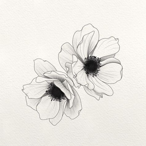 Anenome Flower Tattoos, Anemone Flower Drawing, Anemone Flower Tattoo, Anemone Drawing, Anemone Tattoo, Poppy Flower Drawing, White Anemones, Flores Tattoo, Small Girly Tattoos