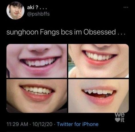 Sunghoon Funny, Sunghoon Sunoo, Vampire Teeth, Park Sunghoon, Funny Kpop Memes, Memes Kpop, Sung Hoon, Kpop Funny, Kpop Guys