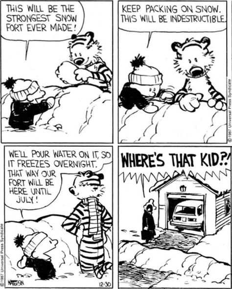 Calvin And Hobbes Christmas, Calvin And Hobbes Humor, Hobbes And Bacon, Calvin Und Hobbes, Calvin And Hobbes Quotes, Calvin And Hobbes Comics, Family Circus, My Calvins, Funny Animal Jokes