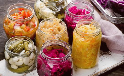 فاصوليا خضراء, Fermented Foods Benefits, Saccharomyces Boulardii, Pembuat Roti, Fermented Veggies, Fermented Milk, Low Histamine Diet, Healthy Microbiome, Fermented Vegetables