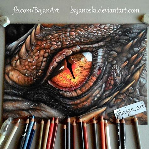 Colored Pencil WIP Drawings. Amazing drawing animations that show you the step by step process. More information and more images from this Artist => http://bit.ly/1DgkgQT Smaug Eye, Realistic Dragon, Realistic Eye Drawing, Amazing Drawings, Dragon Drawing, Realistic Art, Color Pencil Art, Color Pencil Drawing, Realistic Drawings