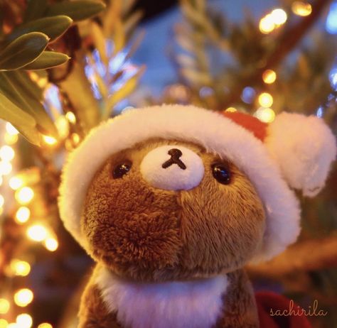 Cute Bear Pfp, Rilakkuma Christmas, Christmas Pfp Aesthetic, Xmas Pfp, Friends Pfp, Rilakkuma Plushie, Christmas Teddy Bear, Silly Cats Pictures, Silly Images