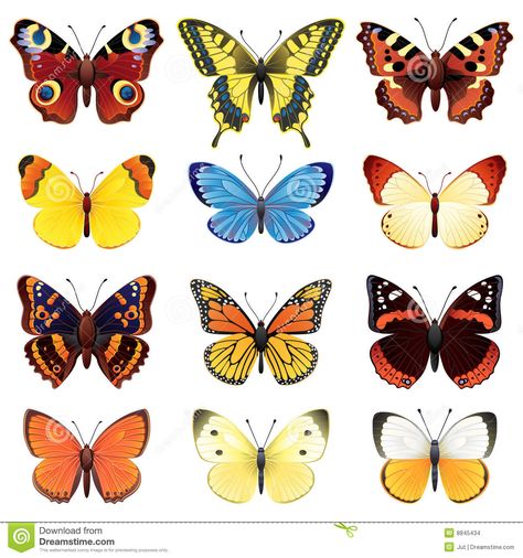 Butterfly Set Stock Images - Image: 8845434 Butterfly Fabric, Butterfly Clip Art, Affinity Designer, Medical Illustration, Craft Lovers, Arts And Crafts Projects, Free Illustrations, State Art, Royalty Free Photos