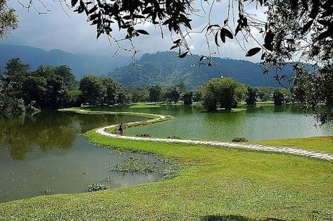 Malaysia: Taiping Lake Garden (Taman Tasik Taiping) - Taiping Perak, Malaysia Taman Tasik Taiping, Taiping Perak, Kuala Kangsar, Perak Malaysia, Malaysia Truly Asia, Lake Garden, Taiping, Ipoh, Window View