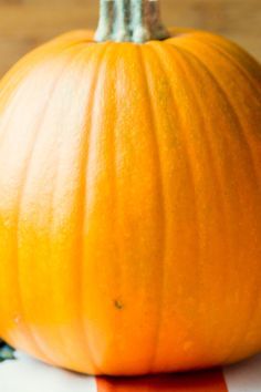 Preserving Pumpkins - How To Make Pumpkins Last Longer, Carved or Not How To Make Your Pumpkin Last Longer, Pumpkin Cleaning Hacks, Preserving Pumpkins For Outside, Preserve Pumpkins For Outside, How To Make Pumpkins Last Longer Outside, Pumpkin Preservation, Make Pumpkins Last Longer, Preserve Carved Pumpkin, How To Paint Pumpkins