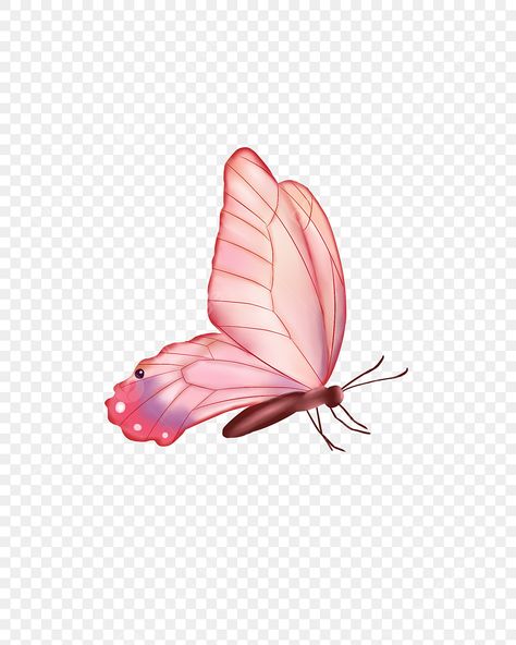 Hand Drawn Butterfly, Drawn Butterfly, Transparent Butterfly, Butterfly Park, Pink Flowers Background, Butterfly White, Pink Png, Cartoon Butterfly, Butterfly Butterfly