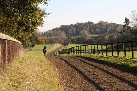 Livery Yard, Horse Barn Ideas Stables, Dream Stables, Horse Galloping, Horse Trail, Dream Horse Barns, Horse Property, Dream Barn, Horse Stables