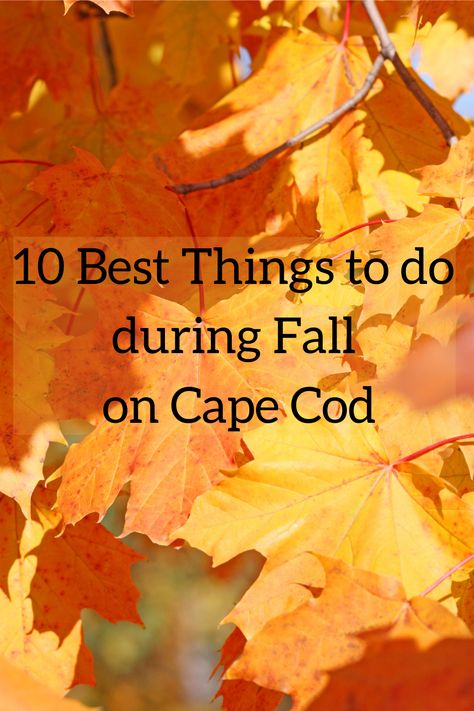 Fall Cape Cod, Cape Cod Things To Do Fall, Day Trip To Cape Cod, Weekend In Cape Cod, Cape Cod Autumn, Fall Capes, Cranberry Bog, Pumpkin People, Autumn Travel