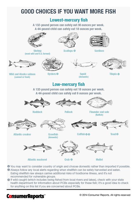 Low Mercury and High Mercury Fishes - Consumer Reports Magazine Low Mercury Fish, Pescatarian Diet, Shrimp Scallops, Nutrition Chart, Make Ahead Meals, Low Fat Recipes, Food Facts, Fish Dishes, Fish And Seafood