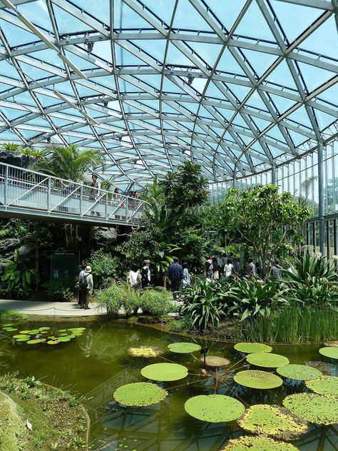 Emotion Museum, Botanical Museum, Health Architecture, Apartment Pool, Shinjuku Gyoen, Green Apartment, Famous Gardens, Indoor Greenhouse, Forest And Wildlife