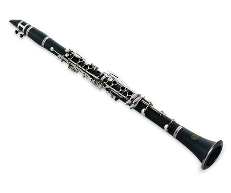 Clarinet has a single reed. Alto Clarinet, Bass Clarinet, Reasoning Skills, Famous Musicians, French Horn, Music School, Music Centers, Music Class, Oboe