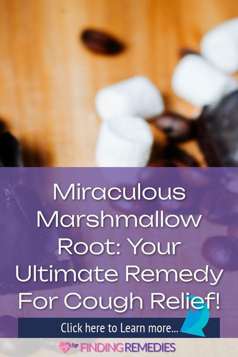 Miraculous Marshmallow Root: Your Ultimate Remedy for Cough Relief! Cough Syrup Recipe, Home Remedies For Allergies, Home Remedies For Warts, Warts Remedy, How To Stop Coughing, Gum Inflammation, Cough Relief, Natural Remedies For Migraines, Allergy Remedies