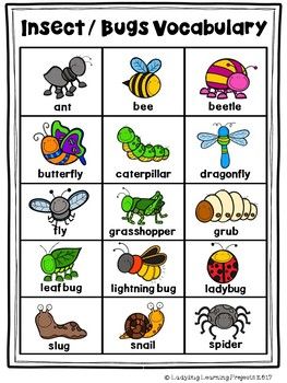 Insects, Bugs, and More Picture Word Card Mini-Set For Kindergarten Bug Pictures, Preschool Insects, Insect Cards, Insects Kindergarten, Bug Activities, Insects Preschool, Bugs Preschool, Insect Activities, Insect Crafts