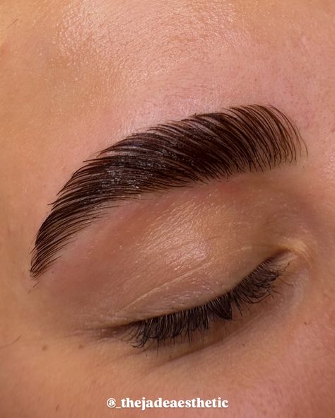 we love fresh brows!! she has very thick, coarse and long brows and we were able to give them a clean soap brow look! 🤩 brow lamination, tint & wax <3 @curacoro - brow lamination system @bronsunusa @bronsunofficial @bronsuncanada - gel dye dark brown #browlamination #browlaminationandtint #eyebrowlamination #browlam #eyebrowlaminationandtint #eyebrowwaxing #browwax #browshaping #laminationandtint #soapbrows #curacoro #bronsun #bronsundye Soap Brows, Eyebrow Lamination, Brow Wax, Brow Lamination, Brow Shaping, Eyebrows, Dark Brown, Wax, Soap