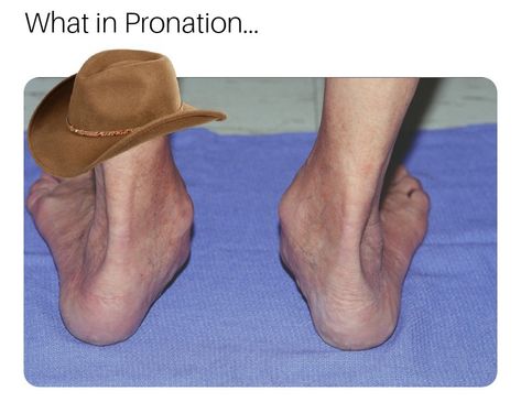 What in pronation Athletic Training Humor, Occupational Therapy Humor, Physical Therapy Memes, Training Meme, Physical Therapy Humor, Work Funnies, Physical Therapy Shirts, Therapy Humor, Nursing Life