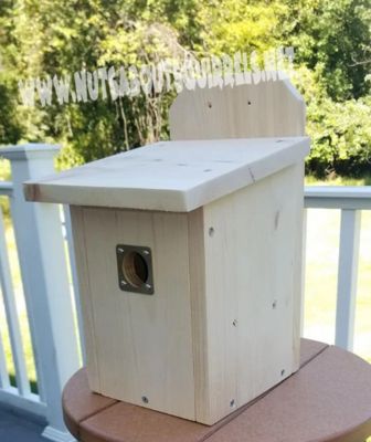 Squirrel Home Diy, Squirrel House Diy How To Build, Squirrel House Diy, Squirrel House, Squirrel Home, Blink Camera, Squirrel Feeders, Fox Squirrel, Nesting Box